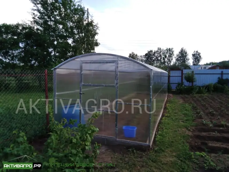 Теплица Ударница Благодатная, ширина 2.5 м, труба 40х20 Теплица Ударница Благодатная, ширина 2.5 м, труба 40х20
