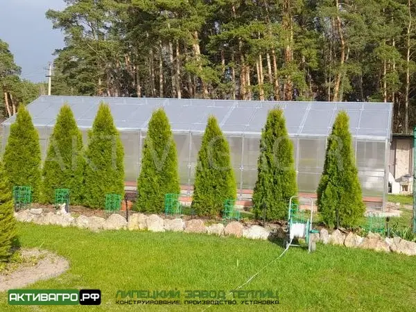 Теплица «Ударница Англичанка», ширина 2.5/3 м, труба 20х20 + 20х20 Теплица «Ударница Англичанка», ширина 2.5/3 м, труба 20х20 + 20х20